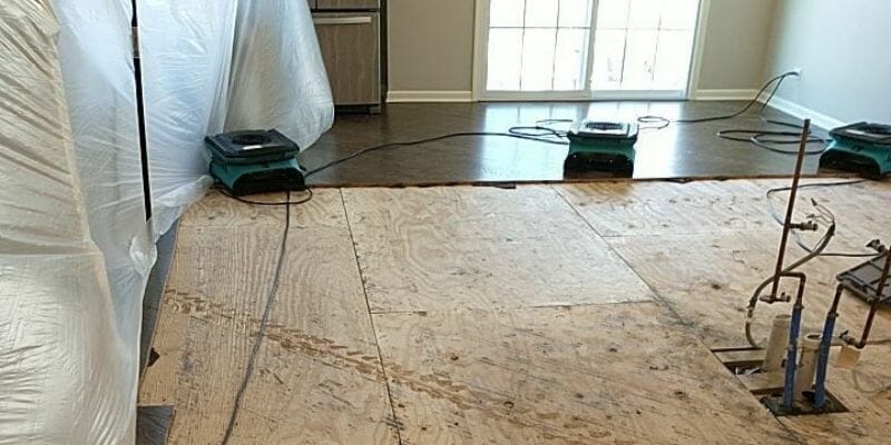The Science of Flood Remediation: How We Tackle Water Damage on Long Island