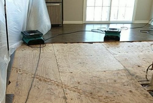 The Science of Flood Remediation: How We Tackle Water Damage on Long Island