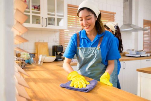 Domestic Helper Services: Finding the Right Fit for Your Household